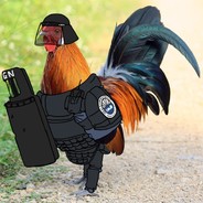 Fury Carvalho