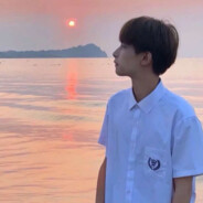 上等兵柴犬007-复健ing