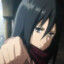 Mikasa