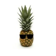 Mr.Ananas