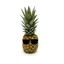 Mr.Ananas