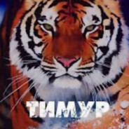 Тимур