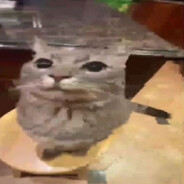 mydior - steam id 76561198326943759