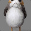 Porg_overlord