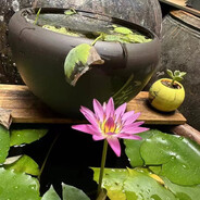 无敌螺旋弹簧大飞踢