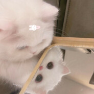 我摔倒了，要屠屠抱抱