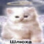 ya_zaebalsya