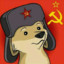 UnionDOGE