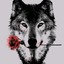 Wolf3