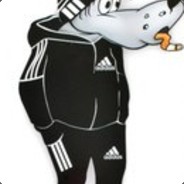 МОЛОДОЙ ДРАЧИЛА