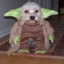 el scooby yoda