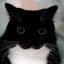 штришок's avatar