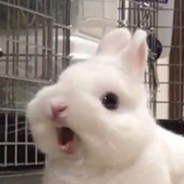 多次拒绝朴灿烈