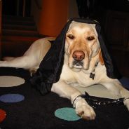 A-A-Ron - steam id 76561197965659247