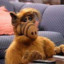 Alf