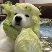 翻斗花园刚之门一郎