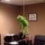 Kermit Suicide