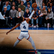 神农说好菜伯乐说好马