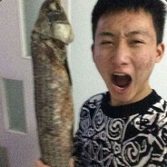 我的龟TOYOTA又圆