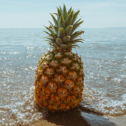 Ananas