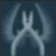 电脑玩家施耐德