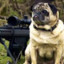 Sgt.Pugsley