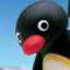 Pingu