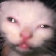 小猫放屁导致全球变暖