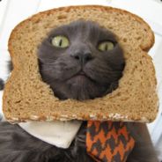 Mr Lookback - steam id 76561197964494004