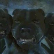 Витька-антихайп:D