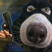 骗你的，其实一枪没中