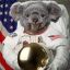 Space Koala