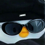 江浙沪天才老公