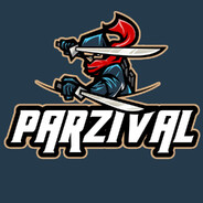Parzival SKINS