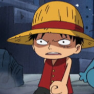 Kebab solo carne doble