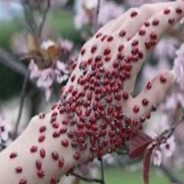 летний вечерок