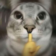 哈基go最长的河