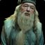 Dumbledor