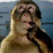 The Amateur Masturbateur