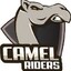 Camel Rider