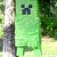 Fat creeper pinata