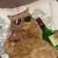 O Gato Do Vinho