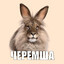 черемша