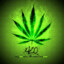 matrix503wisnia