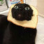 ToastCat