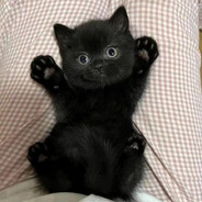 владос1337крут88 - steam id 76561198314970425