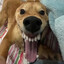 Avatar of Pão de Queijo e Coca