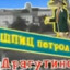 Шпиц_Петрол