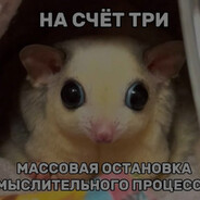 Fz_Mzlov