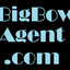 BigBowAgent.com